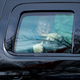 President Donald Trump, a man with the blood of 300,000 American covid-19 victims on his hands, departs Trump National Golf Club on December 13, 2020 in Stirling, Virginia.